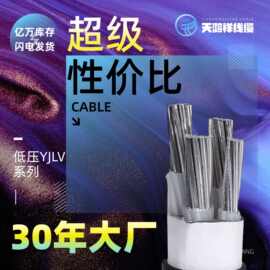 低压电力电缆 电力建设专用电缆线 YJLV3*150+2*70铝芯绝缘电线