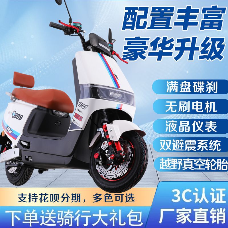 No. 9 Electric Motorcycle Long-Distance Running King High-Speed Electric Motorcycle Takeaway Electric Motorcycle Original Two-Wheeler
