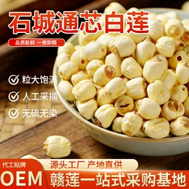 莲子
