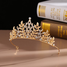 ����ʹښW�����нY��ll�� ɭϵ�~���ˮ�ˮ���羳���N���l