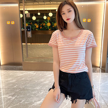 2023¿ļlyTAIƴɫŮʿٴ@ݱ