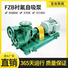 �r�ķ�������  50FZB-30F