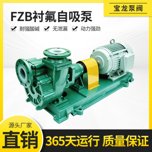 �r�ķ�������  50FZB-30F