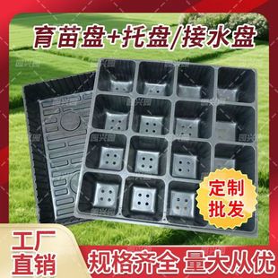 16P跬șķNǤNֲ辰⌣