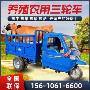 Agricultural diesel tricycle pulling grain tipping bucket self-unloading three-horse project construction site three-wheeled transport vehicle