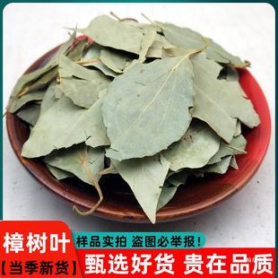 樟树叶 樟叶新鲜干货 香樟树叶干叶 樟木叶 500g克包邮选-阿里巴巴