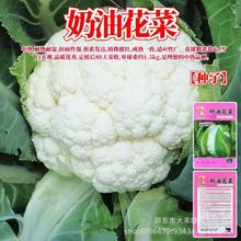 ���������ͻ��˷N��ѩ�׻����ﶬ����Ҭ���ļ��r���߲˷N��