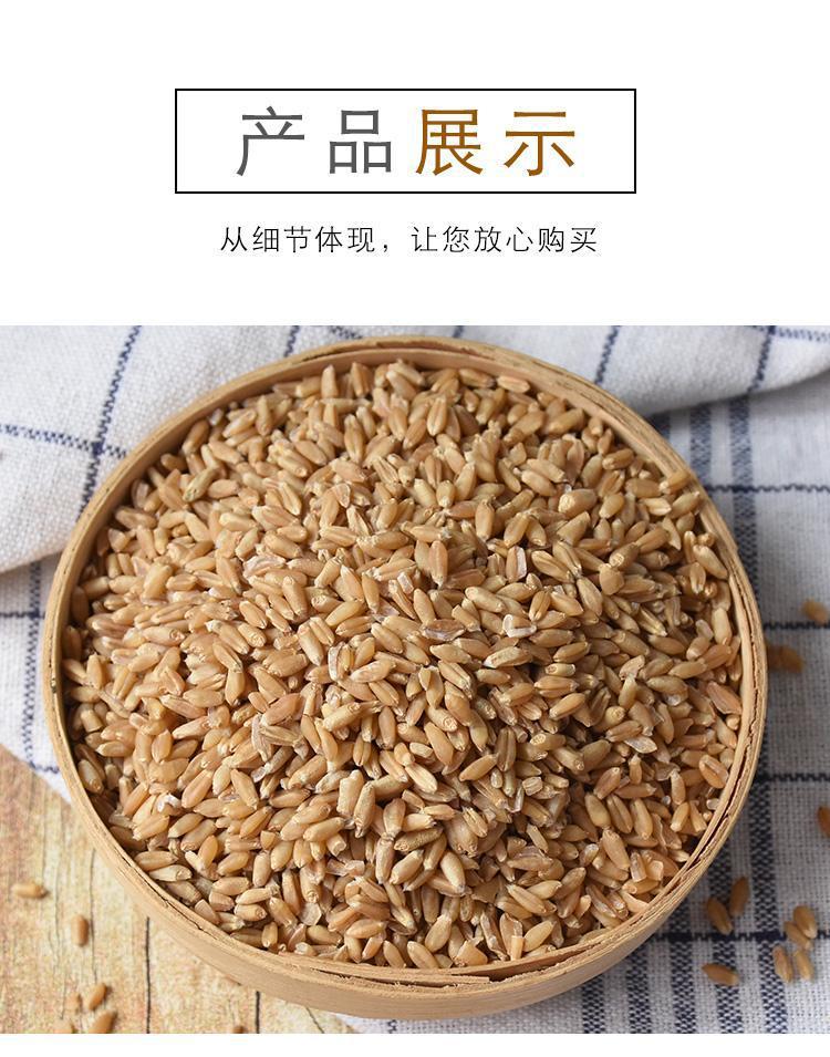 Huai Wheat Grain 500g Huai Xiao Mai Triticum aestivum Dried Chinese Herb for Decoction and Culinary Use quality and texture