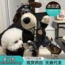 ���T��ë�q��߹���ż�ɐ�С��ë�q�������նY������