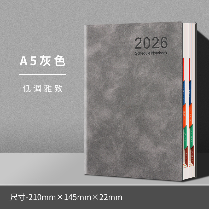 日程本2026年计划本表一日一页自律打卡效率手册每日历记事本定制|undefined