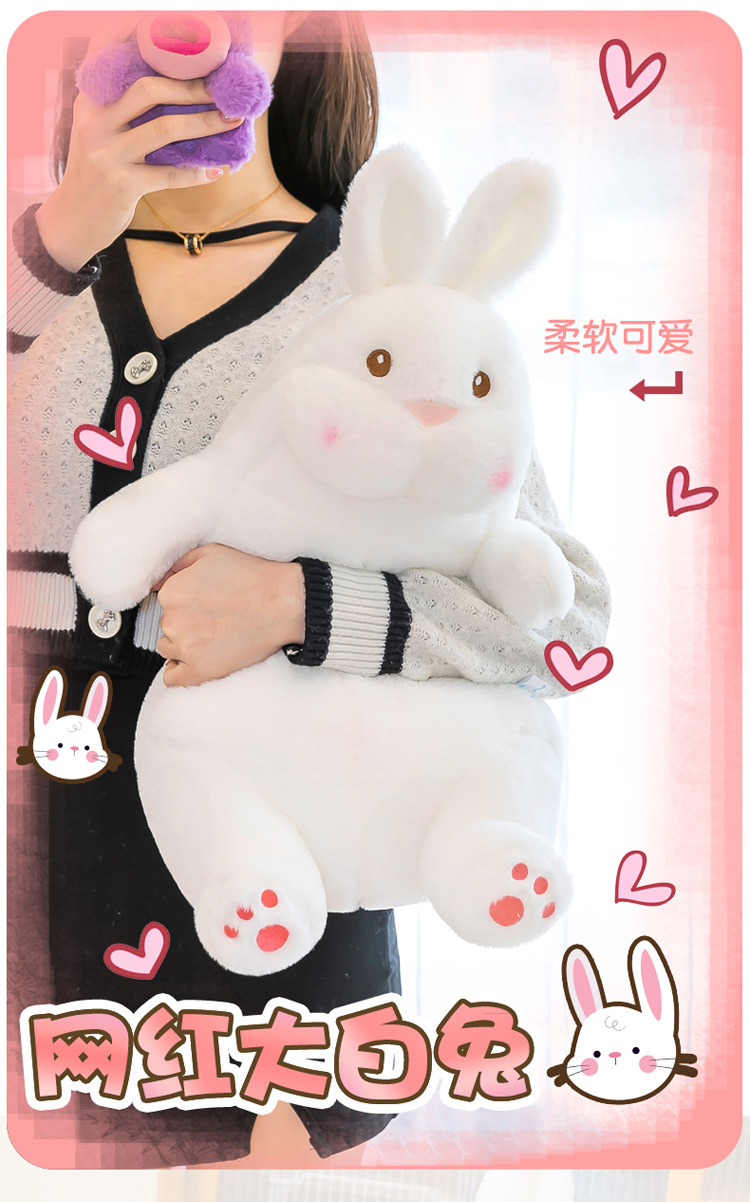 网红慵懒大白兔_01.jpg