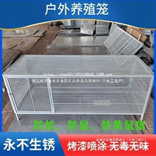 鸡笼鸽笼兔笼家禽笼防鼠防蛇防黄鼠狼家用养殖厂家直销冲孔网二手