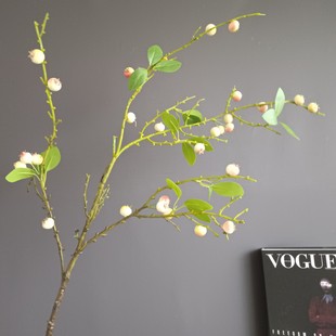 ����{��С�O���{ݮ��ʯ��� �ҾӘӰ��g�[�Ż��ܲ廨����}�Q��