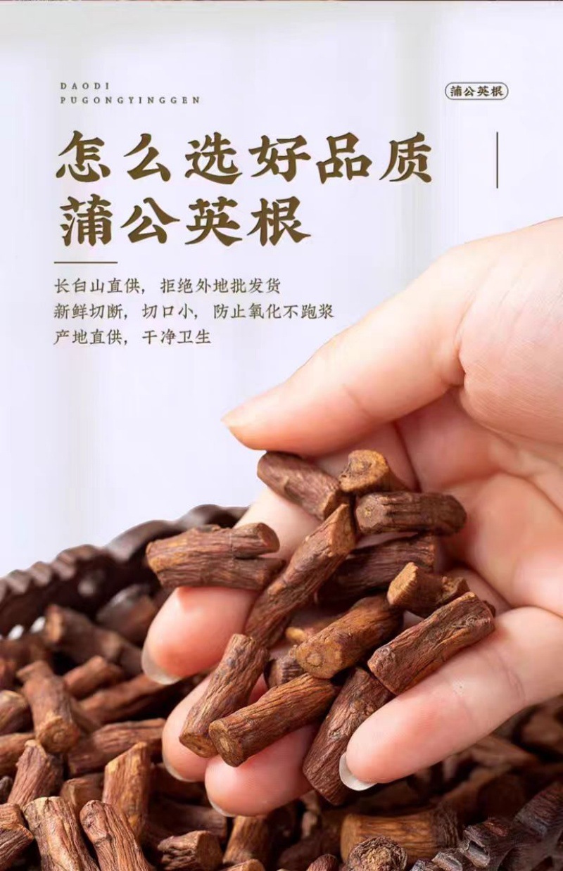 Dandelion Root (Taraxacum officinale) — Dried Pugongying Gen Herbal Tea & Decoction Pieces overview