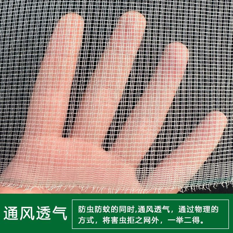 农用菜地大棚养殖场防虫网防蚊苍蝇果树院子防蚊网加密