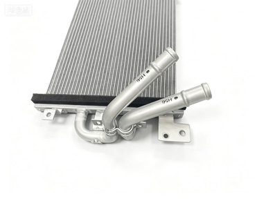 Direct sales from the original manufacturer H56A1301001AA 130101003 Lantu Dreamer Hybrid Low-Temperature Radiator