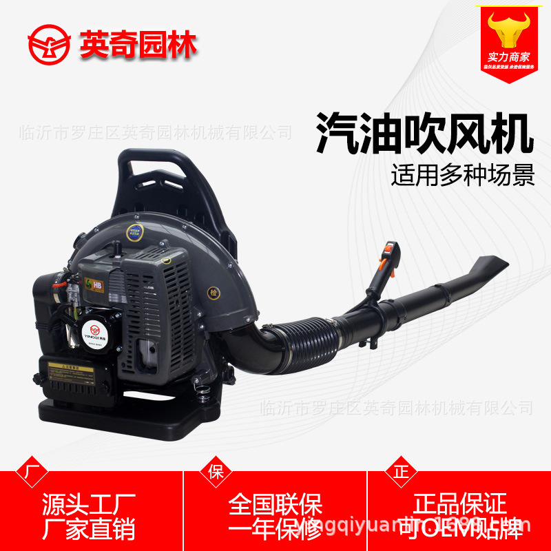 英奇 厂家直销 EB650 背负式汽油吹风机 吹雪机 吹叶机风力灭火机