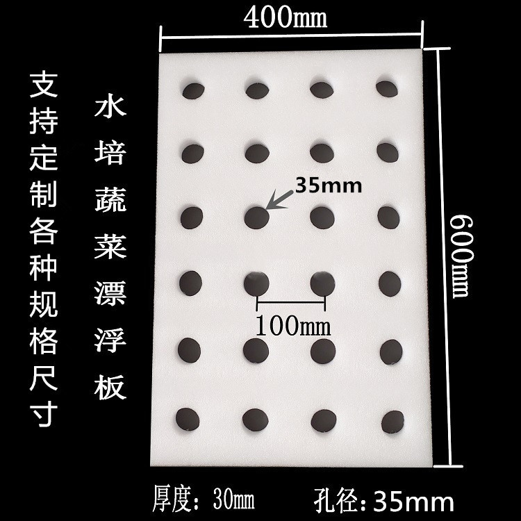 水培蔬菜种植泡沫海绵板无土栽培鱼塘水上种菜漂浮板珍珠棉定植海