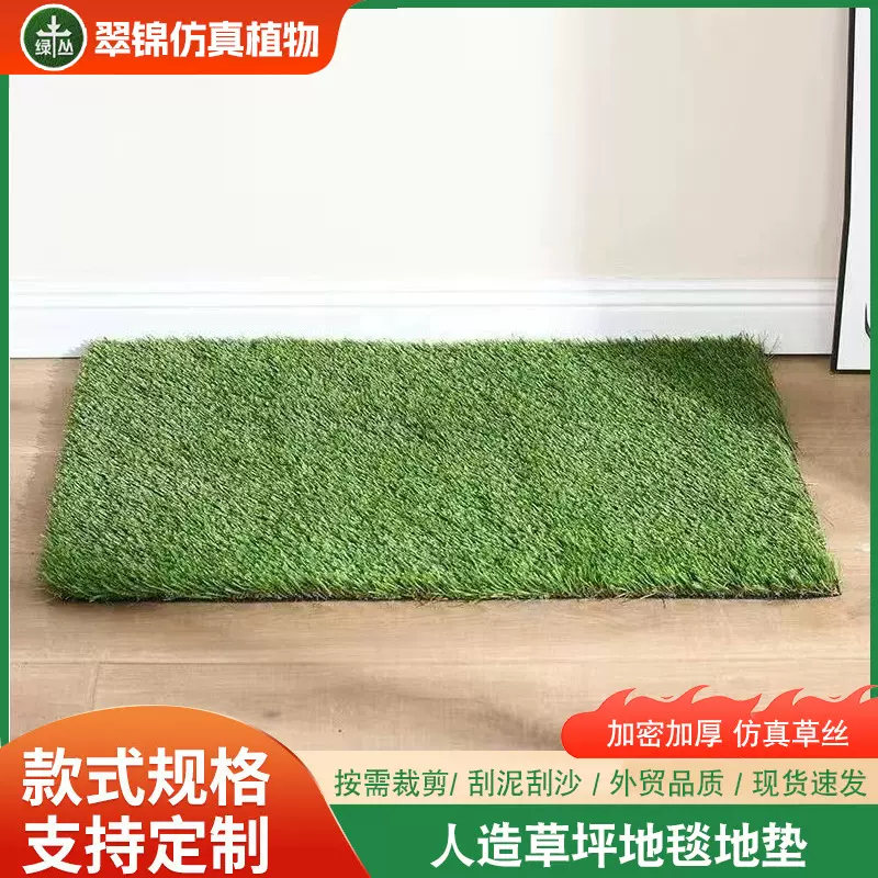 仿真草坪地垫入户刮泥蹭脚垫门口免洗地毯卷材裁剪宠物垫人造草坪