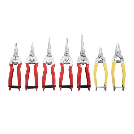 Stainless Steel Garden Branch Shears Garden Pruning Shears Orchard Thin Fruit Shears Fruit Picking Shears Fruit Picking Shears Multi-purpose Garden Shears
