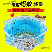 ρ�䌙�﹤���׃��@�^��ρ���C��B����߄e������Λρ�ǉ���̫��