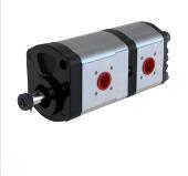 奥森德齿轮泵Blue Ascend AP20.160/160.AEA701SN-T 进口双联泵