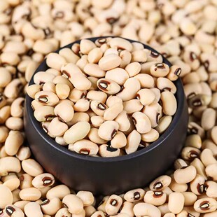 ��؛��ü��5������r���Ԯaܿ���������׶���׶������Ҝ����l