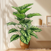 �羳���W����Gֲ�����҃ȿ͏d�ҾӔ[�O��N��ʽ24�^�O���~