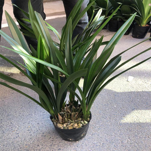 �������������� �������� �ļ��m�� ���l�Nֲ����