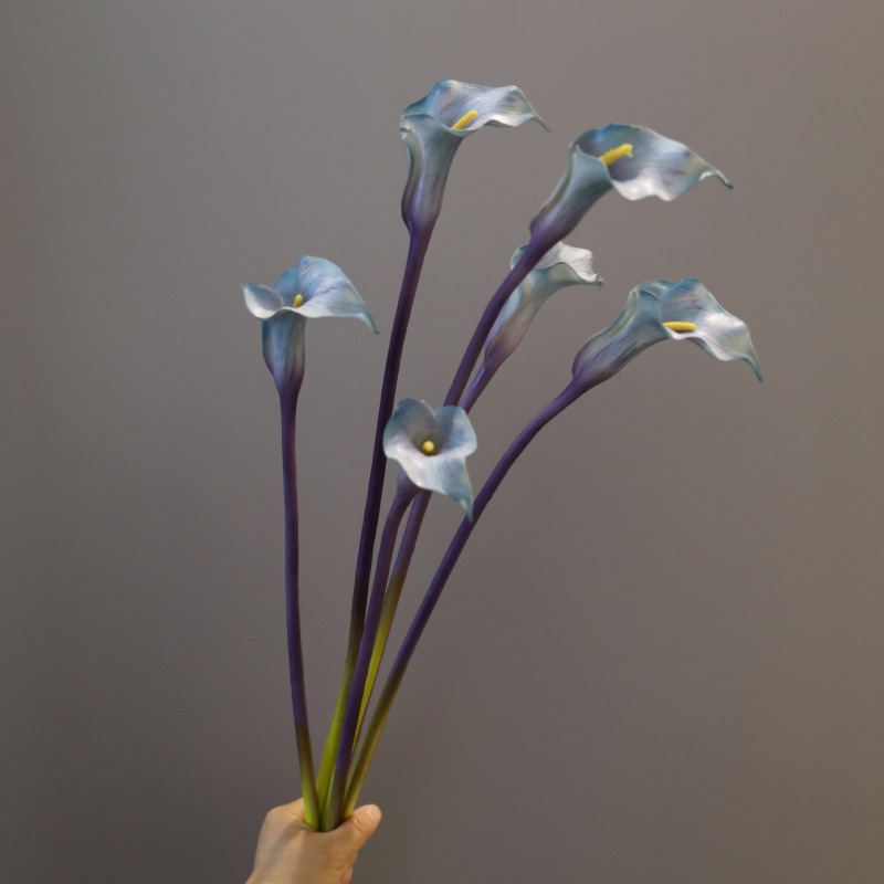 PUの小さい海芋の手触りをシミュレーションします。|undefined
