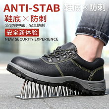 �ڱ�Ь�з��ҷ��̴�䓰��^ �͎ͷ��o늹���Ь�����p����o��ȫЬ