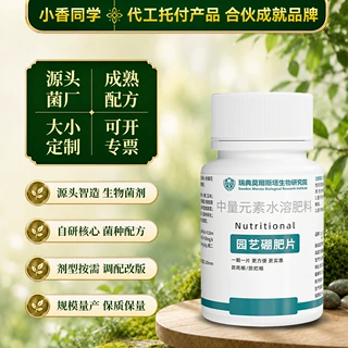 源头工厂园艺硼肥片营养花肥料养花通用月季多肉绿植盆栽缓释片肥