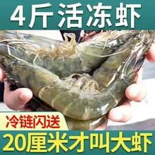 ���u���r4�ﺣ�������r�����r�r�r���r���r�r��ˮ�a�������r