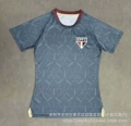 2526 são paulo gray training women's clothing
