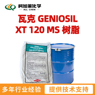 �߿� XT120 �߿� GENIOSIL XT 120 MS ��֬