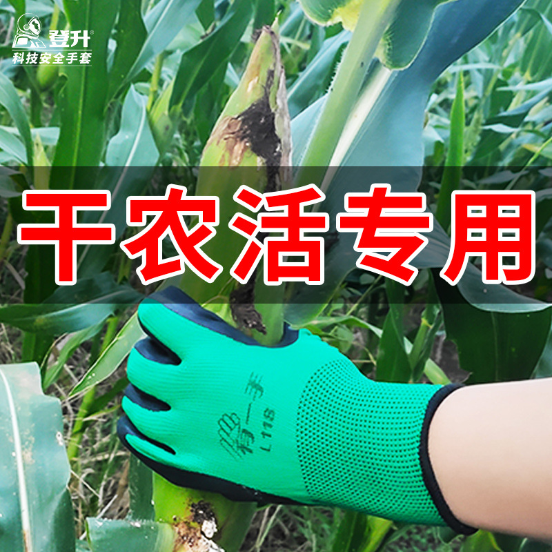 Guantes especiales para la recolección de maíz guantes de rotura de maíz antideslizante transpirable jardín maíz recogiendo guantes secos de granja