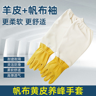 �B������׽������늺����ڱ���Ƥ���װ�ɫ��Ƥ�������׷����U����