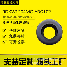 �S�����l�����A�ǵ���㊵�Ƭģ���RDKW0803MO YBC301���ص�ƬR4