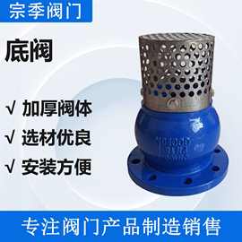 底阀止回阀逆止阀水泵吸水底阀H42X球墨铸铁法兰过滤底阀德标底阀