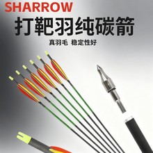 �S��ֱ�N 5Ӣ������̼�����y���������C������������^�ü�