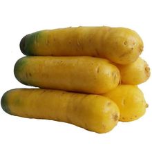 黄萝卜山西水果新鲜蔬菜黄皮新鲜胡萝卜黄胡萝卜运城黄心抓饭手