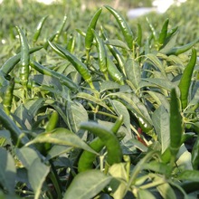 ����712-����8-9���׸��r���îa���� ���������������콷�N��