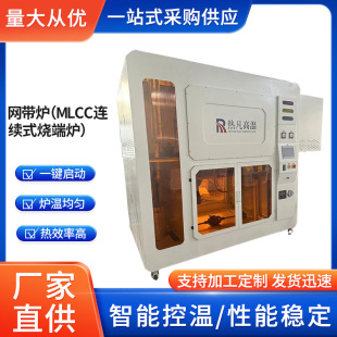 Mesh Belt Furnace (MLCC Continuous Burning End Furnace)