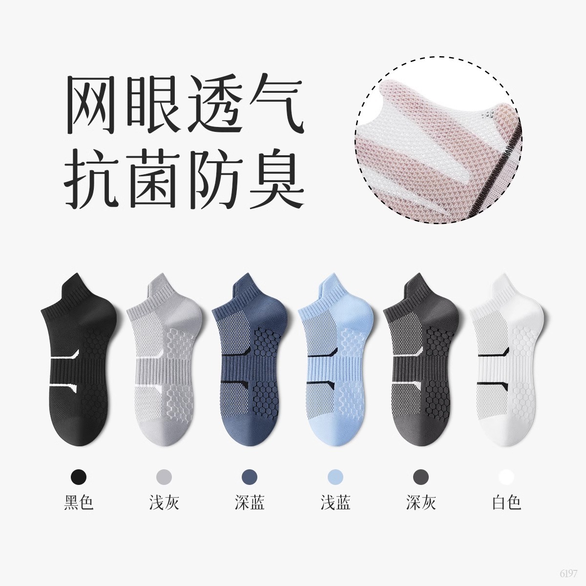 화이트
