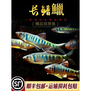 �L���v�Ї�ԭ���~��ˮϪ�������������R���~�һ��~�Ꭷ�^�p�~���w