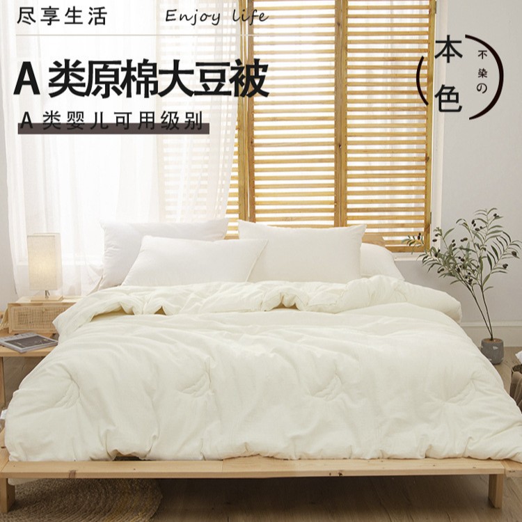Category a Maternal and Infant Grade Pure Cotton Raw Cotton Soy Fiber Summer Cooling Quilt Air-Conditioned Quilt Student Single and Double Spring & Fall Quilt