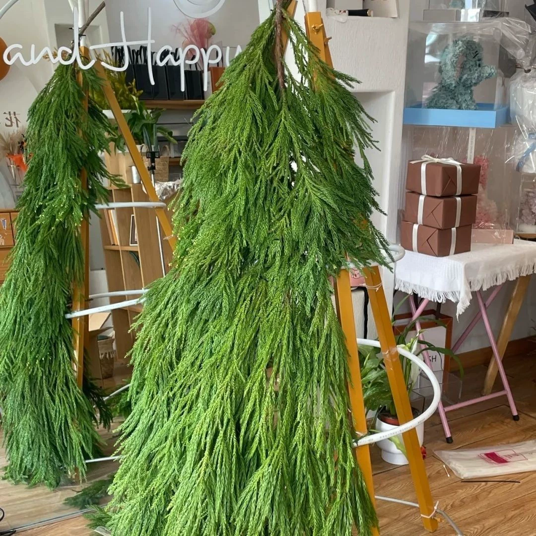 Рождественская елка Tianzhu Girl DIY Материалы Свежие интернет-знаменитости Tianzhu Girl Натуральная сосна и кипарис Декоративные рождественские материалы