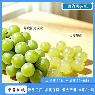中鼎葡萄罐头加工生产线蒸汽去皮机转笼清洗漂烫灌装封口机杀菌釜