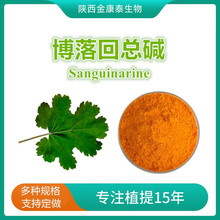 博落回提取物 博落回总碱60%血根碱40%白屈菜碱20%博落回生物碱