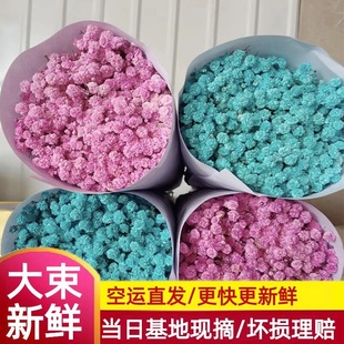 �M�����r���ɻ������������ֱ�l�r��Ⱦɫ�����~�����c�[��ֱ��